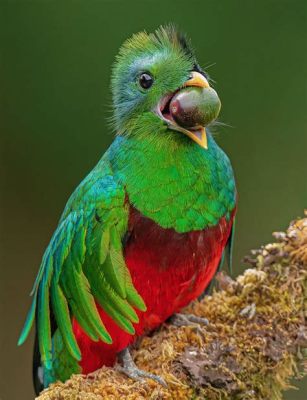 The Quetzal Bird and Its Magical Song: A Journey into Mexican Folklore and Symbolism!